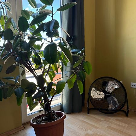 Apartment Near Centre Tartu Eksteriør bilde