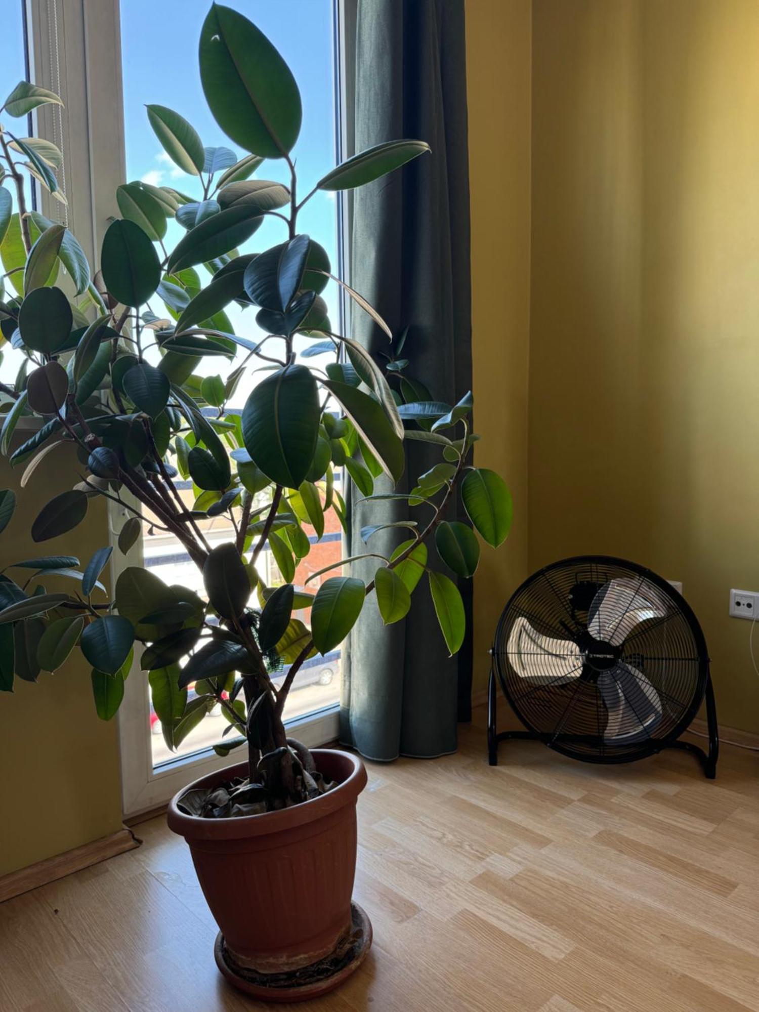 Apartment Near Centre Tartu Eksteriør bilde